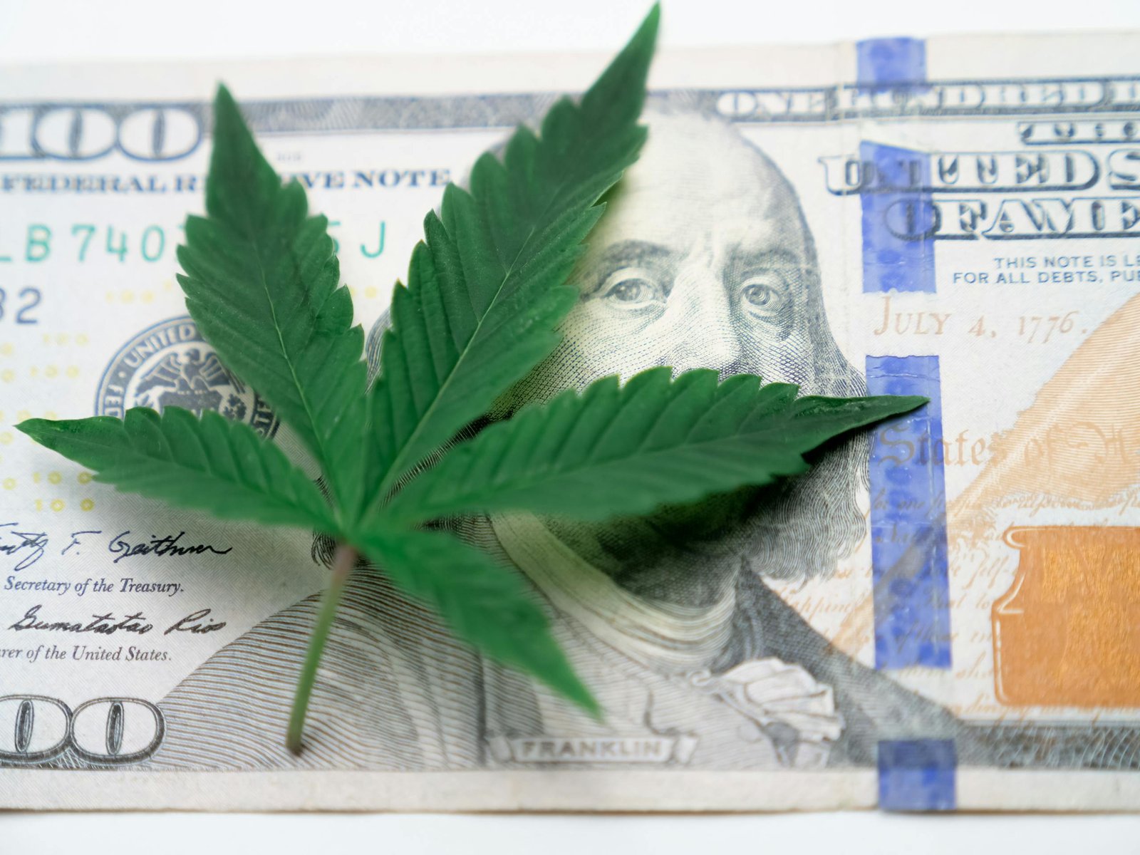 Close-up of a cannabis leaf resting on a one hundred dollar US bill, representing the intersection of marijuana and economy.